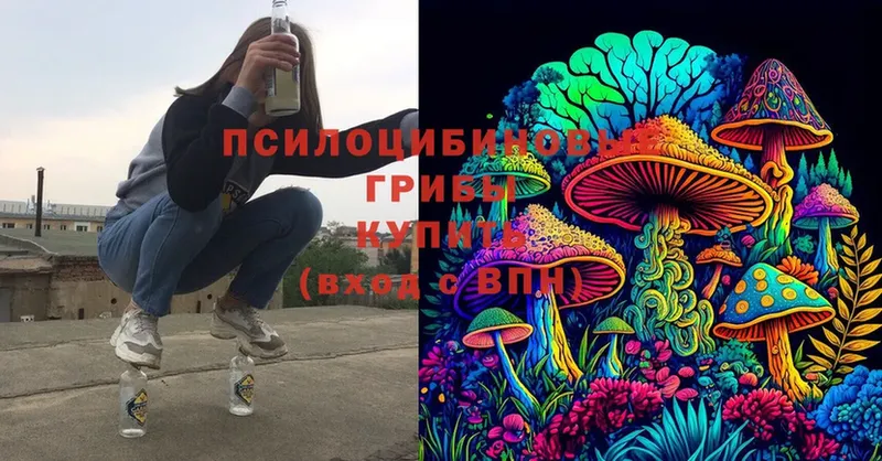 Псилоцибиновые грибы MAGIC MUSHROOMS  Баймак 